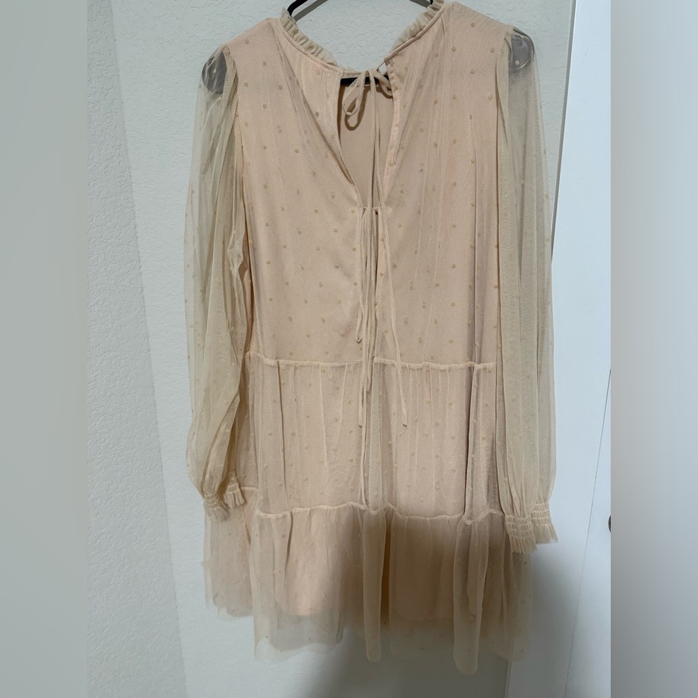 H&M Sheer Swiss Dot Babydoll Dress - Light Pink - Picture 7 of 9
